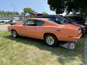 66-Barracuda