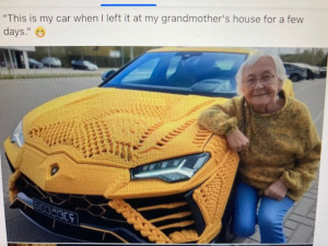 car-cover (FaceBook)