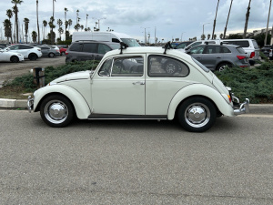 1967-VW-Bug