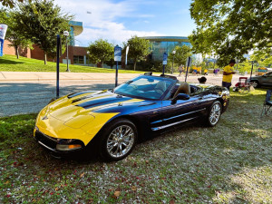 2001-Corvette-in-Mich-Colors