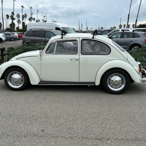 1967-VW-Bug