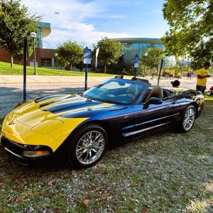 2001-Corvette-in-Mich-Colors