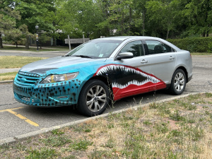 Coop-Car