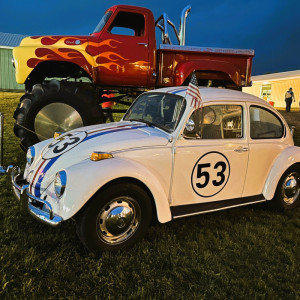 Herbie-the-Love-Bug