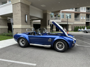 Cobra