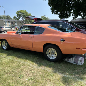 66-Barracuda