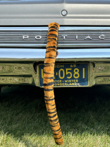 Tiger-Tail