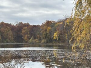 Michigan-Fall-Colors